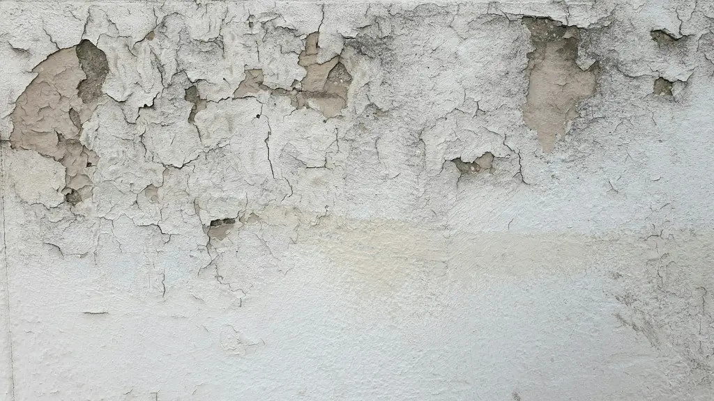 Paint peeling off a wall because of moisture